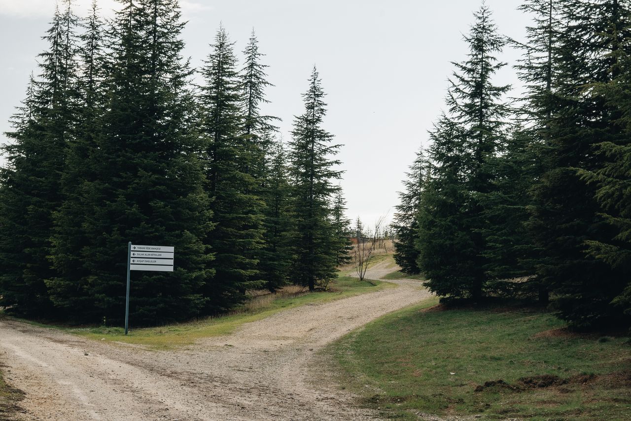 Detransitie en herstel — wat keert terug, wat niet